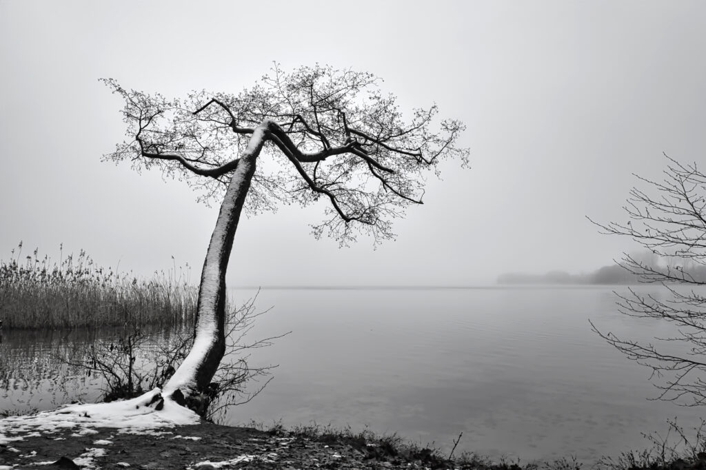 Foto Winterlandschaft am Summter See von Ralf Hering