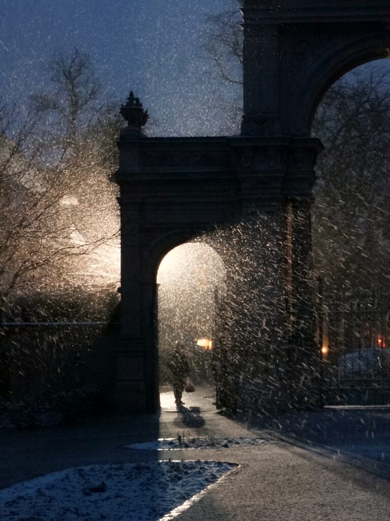 Foto Schneegestöber im Bürgerpark von Gunter Blume