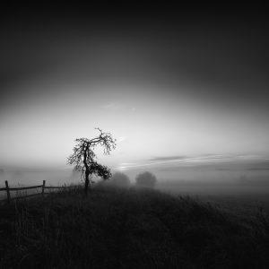 Foto von Rainer Zersen "Sonnenaufgang"