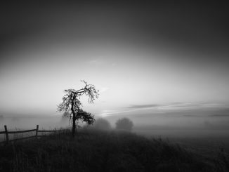 Foto von Rainer Zersen "Sonnenaufgang"