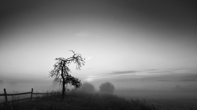 Foto von Rainer Zersen "Sonnenaufgang"